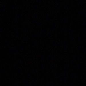 Meet your Posher, Bailey